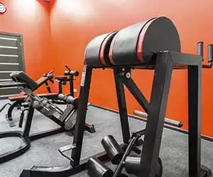 Fitness
